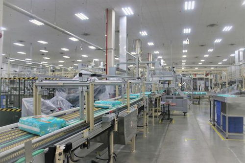 湖北高新技術產業與家政服務創新比翼齊飛，引領區域高質量發展